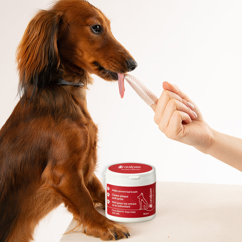 Oralpaw™ Dog & Cat Dental Finger Wipes – 50 Count