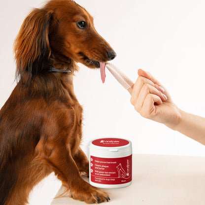 Oralpaw™ Dog & Cat Dental Finger Wipes – 50 Count