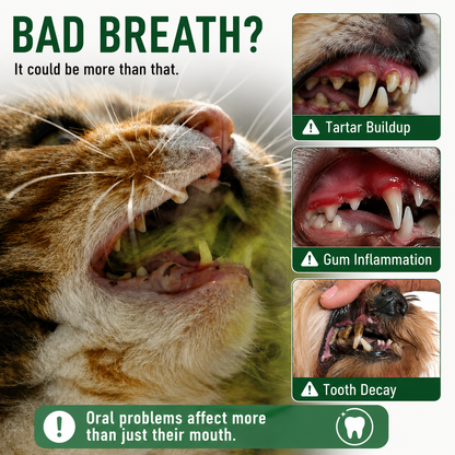 Buy 1 Get 1 Free✨Orlapw™ Oeal Spray for Dogs & Cats