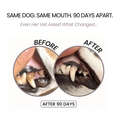 🍃NO BRUSHING PET ORAL CARE SPRAY