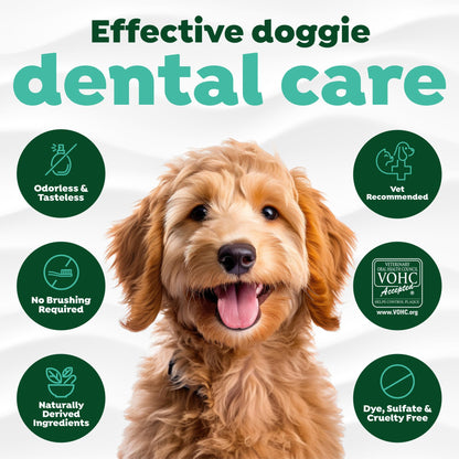 OralPaw™ Oral Care Water Additive for Pets