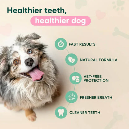 🍃NO BRUSHING PET ORAL CARE SPRAY