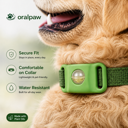 Peauvelle™ Flea & Tick Collar for Dogs – Natural Plant-Oil Protection