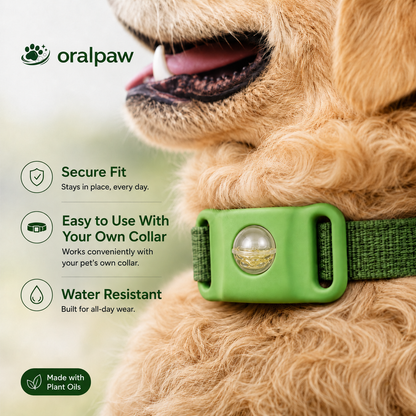 Oralpaw™Pets Worming Collar Buckles| 60 Days Flea &Tick Free