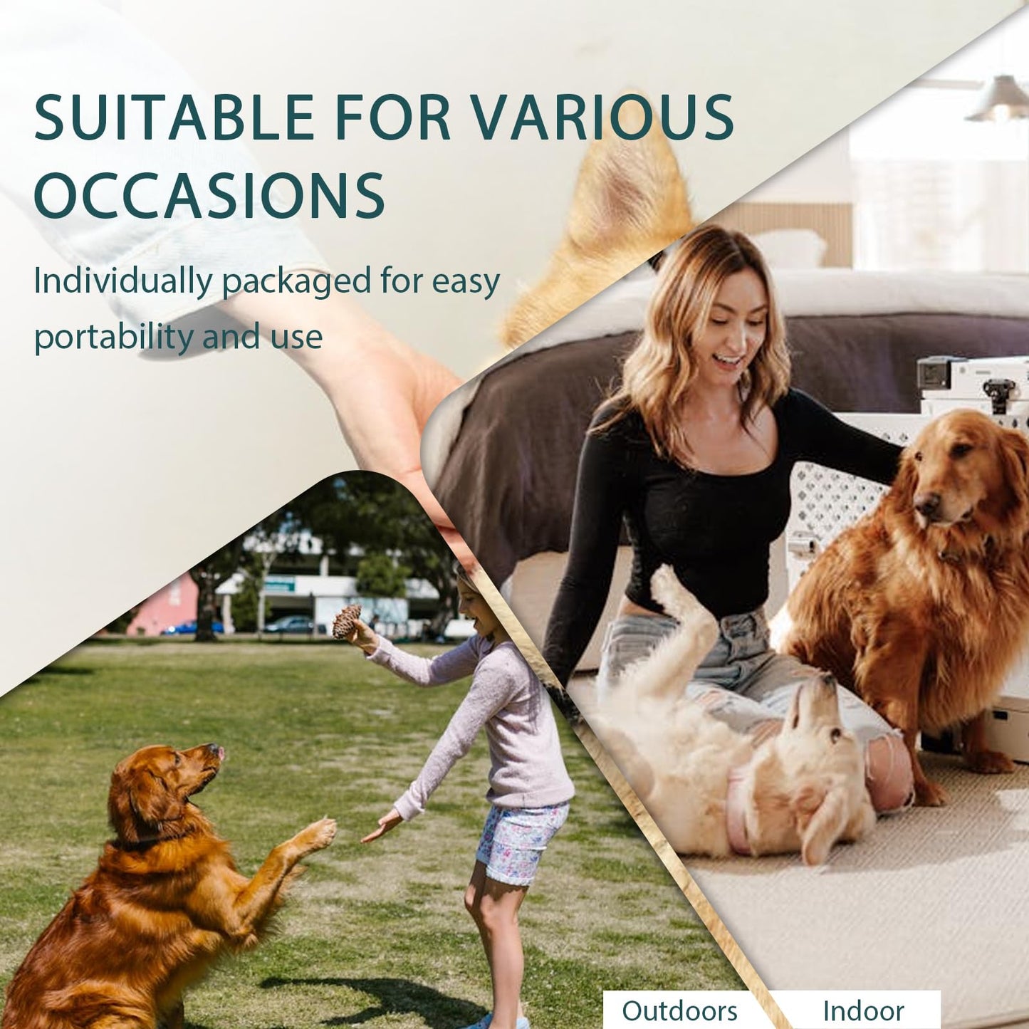 OralPaw™ No-Rinse Pet Glove Wipes for Dogs & Cats