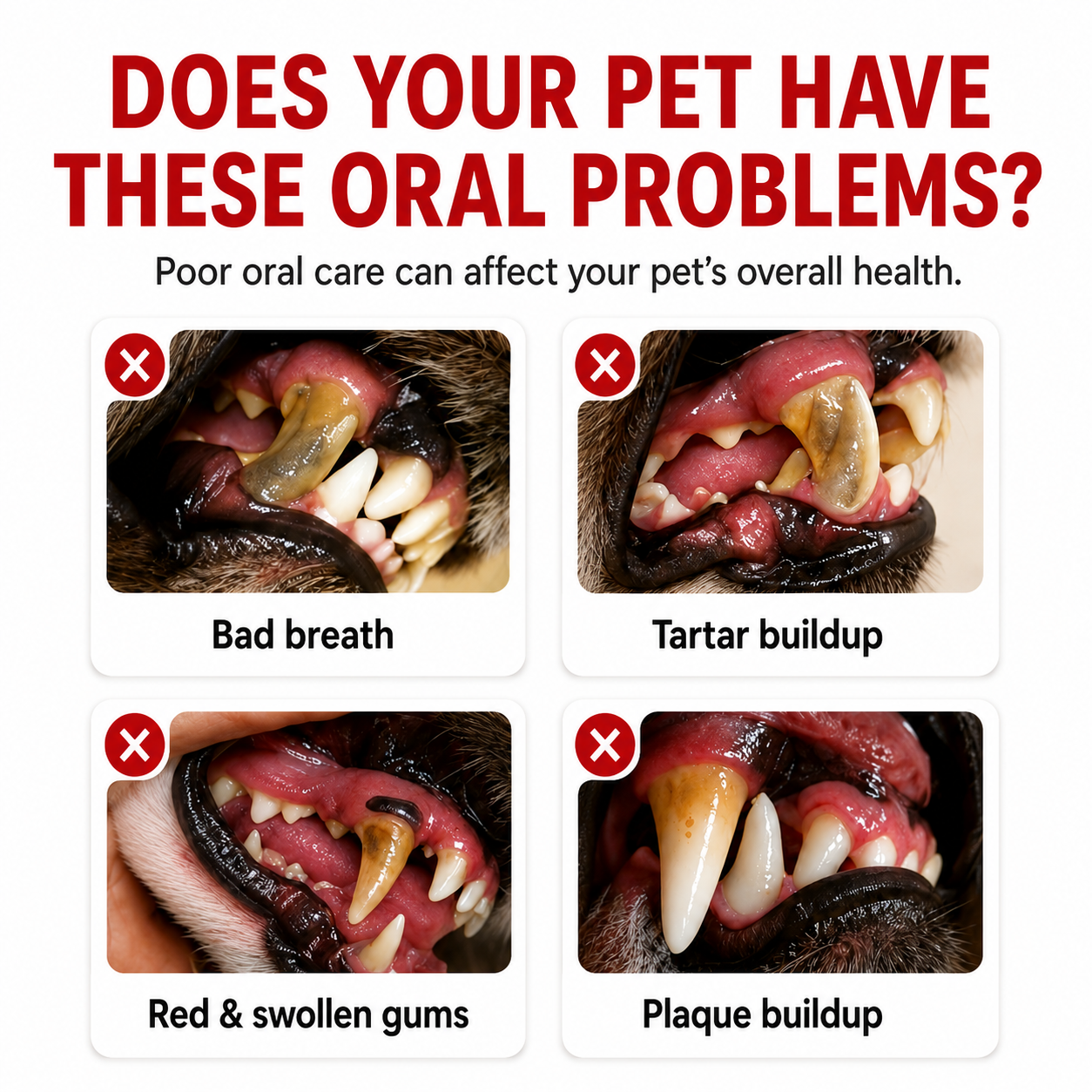 Oralpaw™ Dog & Cat Dental Finger Wipes – 50 Count