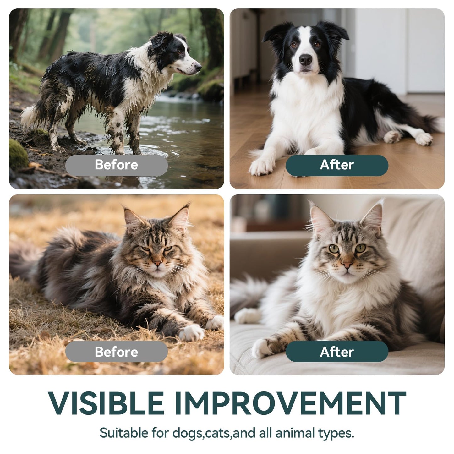 OralPaw™ No-Rinse Pet Glove Wipes for Dogs & Cats