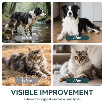 OralPaw™ No-Rinse Pet Glove Wipes for Dogs & Cats