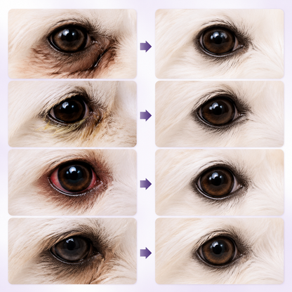 🎉LAST DAY BUY 1 GET 1🔥 OralPaw™ Pet Eye Drops for Dogs & Cats – Gentle Daily Eye Care