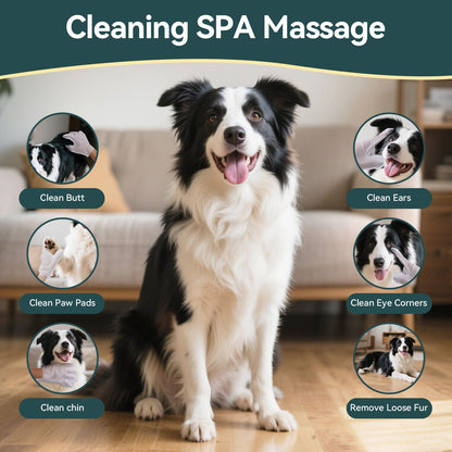 OralPaw™ No-Rinse Pet Glove Wipes for Dogs & Cats