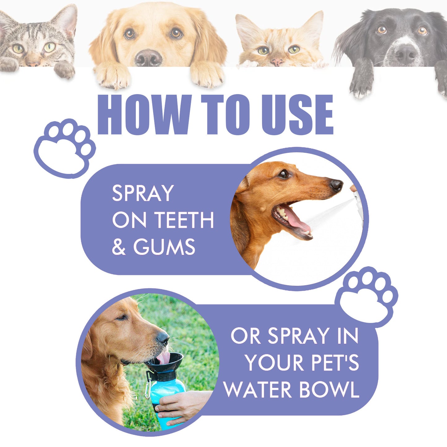 OralPaw™Cat & Dog Dental Cleaning Spray|Pet Oeal Spray