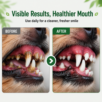 Buy 1 Get 1 Free✨Orlapw™ Oeal Spray for Dogs & Cats